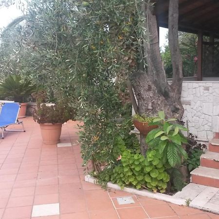 Villa Monica Appartamenti Vieste Buitenkant foto
