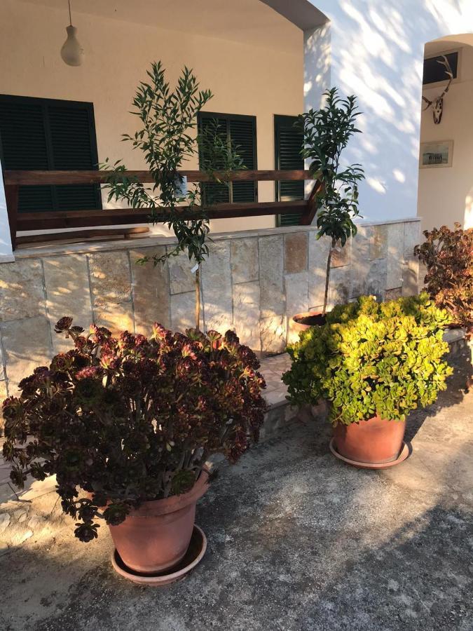 Villa Monica Appartamenti Vieste Buitenkant foto