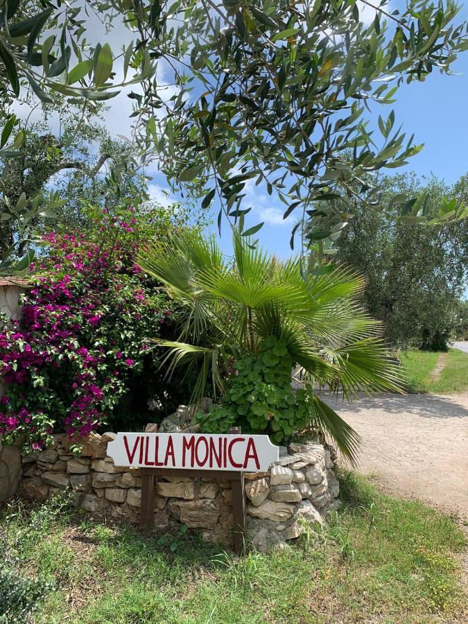 Villa Monica Appartamenti Vieste Buitenkant foto