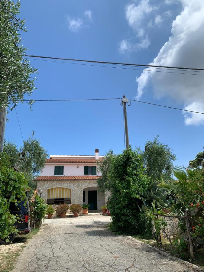 Villa Monica Appartamenti Vieste Buitenkant foto