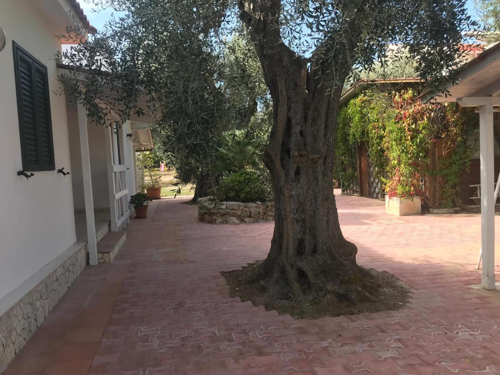 Villa Monica Appartamenti Vieste Buitenkant foto