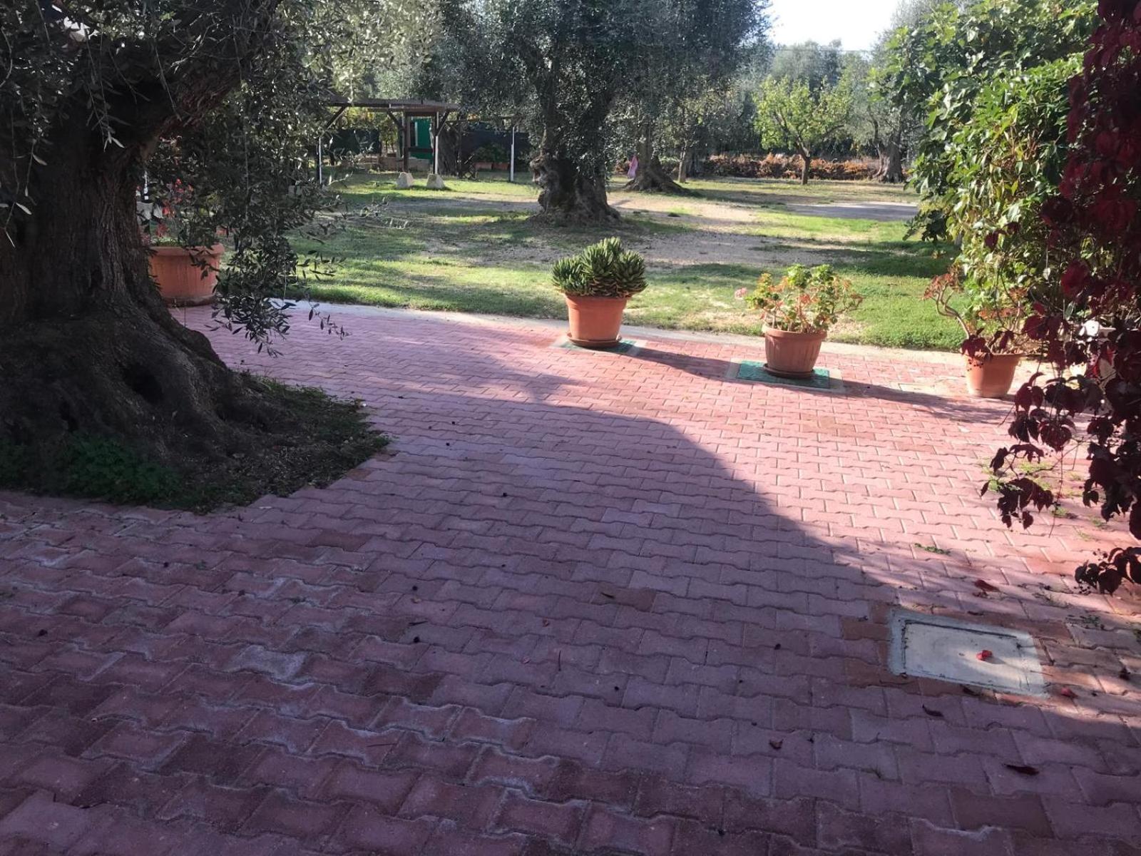 Villa Monica Appartamenti Vieste Buitenkant foto