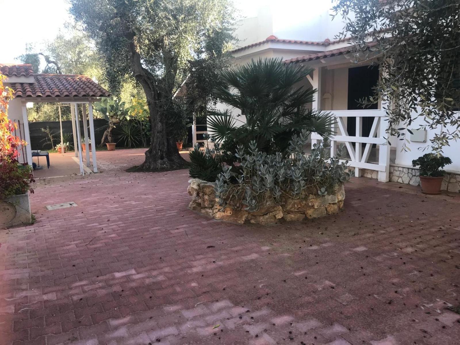 Villa Monica Appartamenti Vieste Buitenkant foto