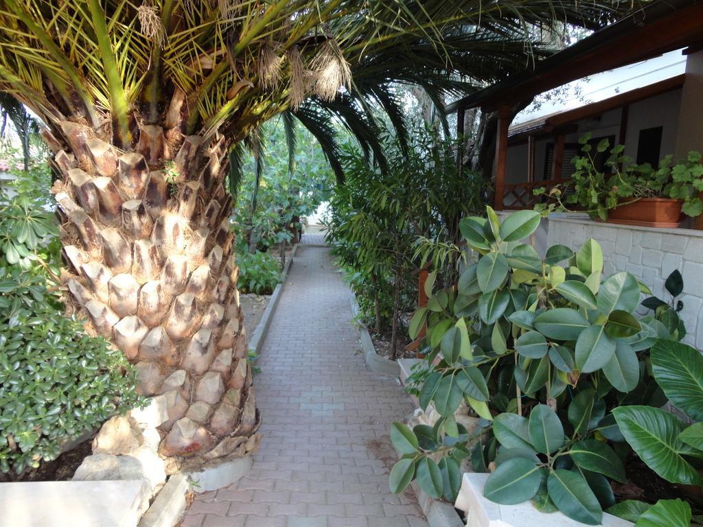 Villa Monica Appartamenti Vieste Buitenkant foto